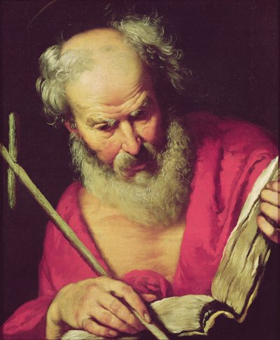 Saint Jerome by Bernardo Strozzi